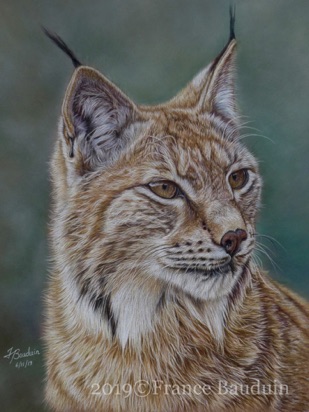 European Lynx - 39 hours
Brown Pastelmat Board
14" x 11"
Ref: Claudel Lemieux European Lynx - 39 hours
Brown Pastelmat Board
14" x 11"
Ref: Claudel Lemieux